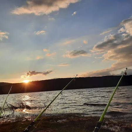 Zodiac House Pensiune *