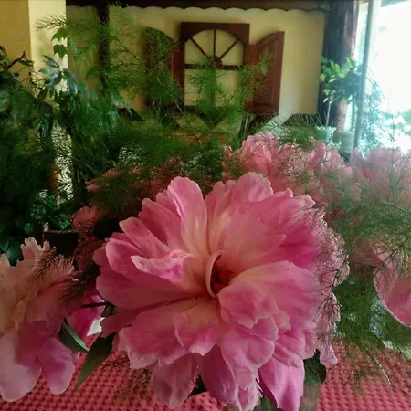 Zodiac House Guest house Samokov