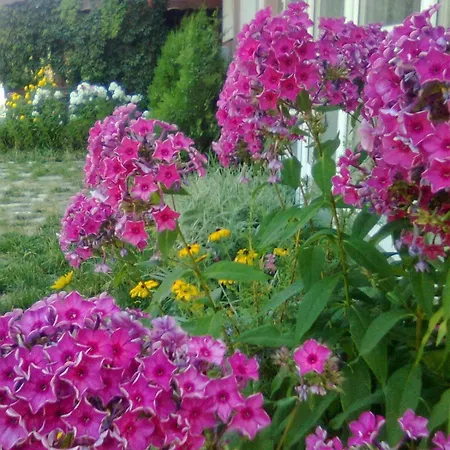 Zodiac House * Samokov