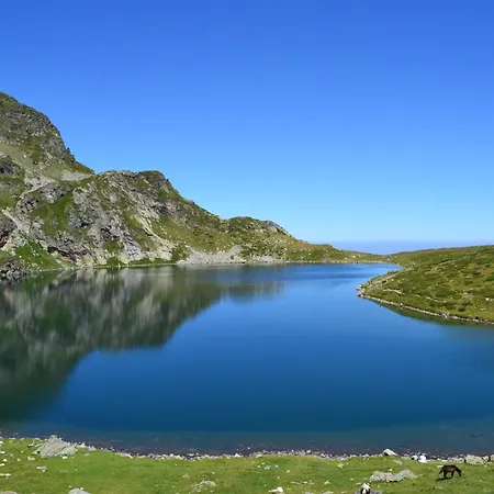 Zodiac House Pensiune