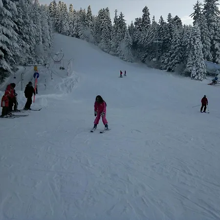 Zodiac House Vendégház *
