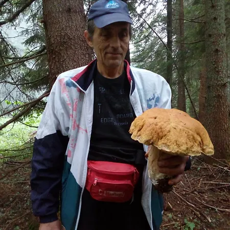 Zodiac House Vendégház *