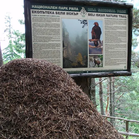 Zodiac House * Samokov