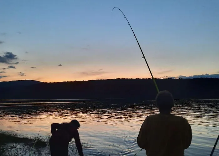 Zodiac House Gæstehus