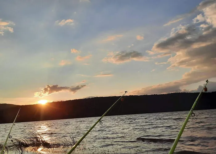 Zodiac House Gæstehus *