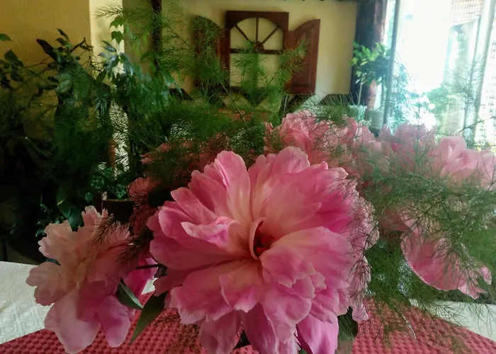 Zodiac House Gæstehus Samokov