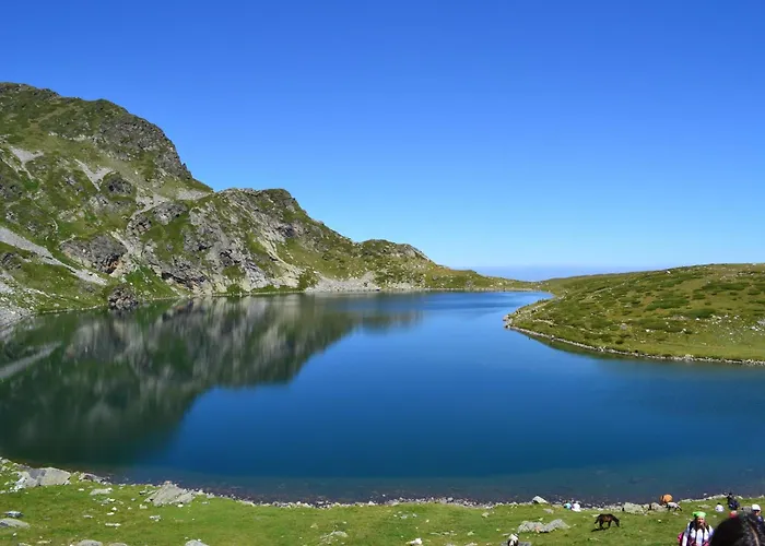 Zodiac House Gæstehus