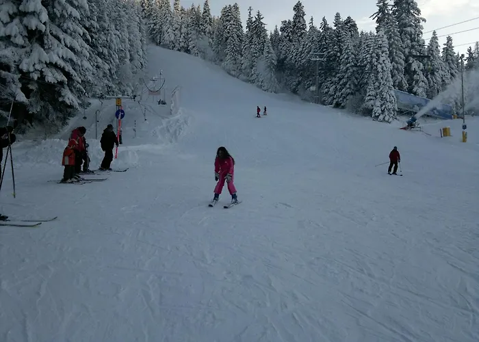 Zodiac House Gæstehus *