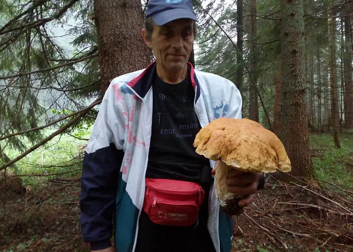 Zodiac House Гостевой дом *