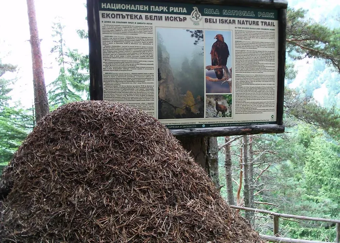 Zodiac House * Самоков