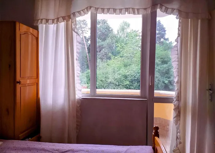 Гостевой дом Zodiac House *