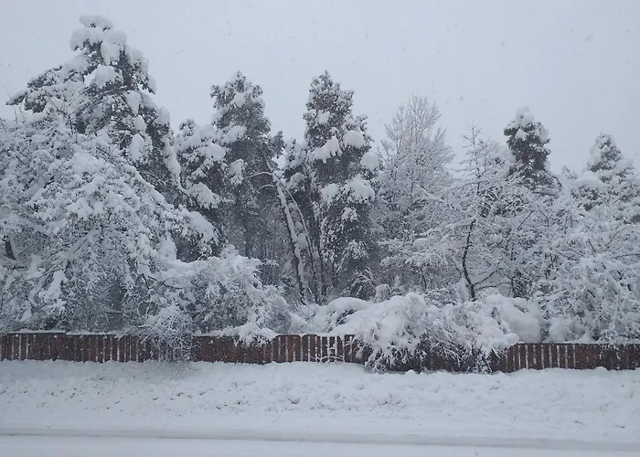 Gæstehus Zodiac House *